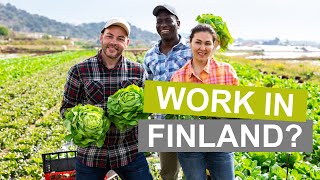 Learn more about seasonal work in Finland!