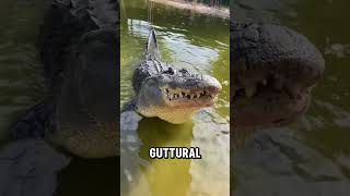 5 Most Disturbing Animals