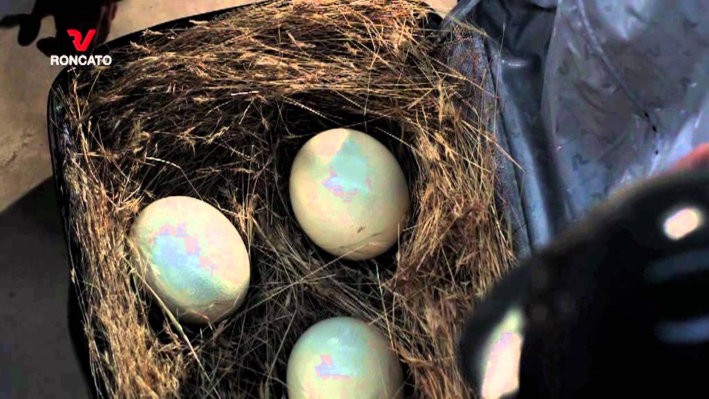 Roncato Uno Zip ZSL www.vigano.co.uk