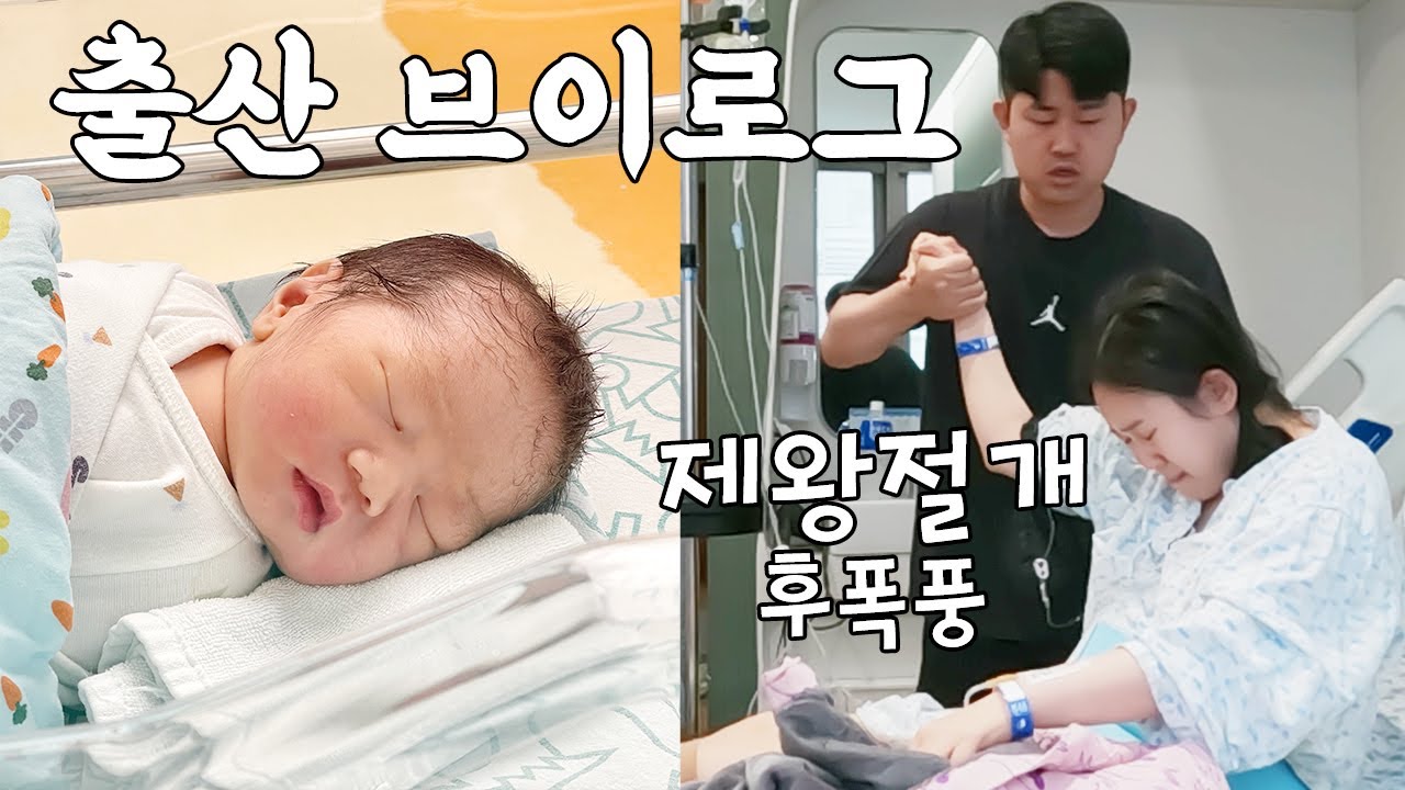 출산 브이로그 ｜ 남한과 북한이 만나 새 생명이 탄생했습니다 @일산 차병원 제왕절개