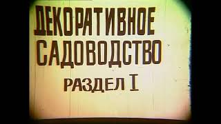 Наследие Венчагова. Декоративное садоводство в СССР.