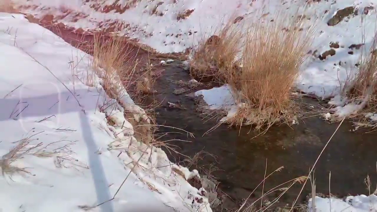 ProEco жобасы. 