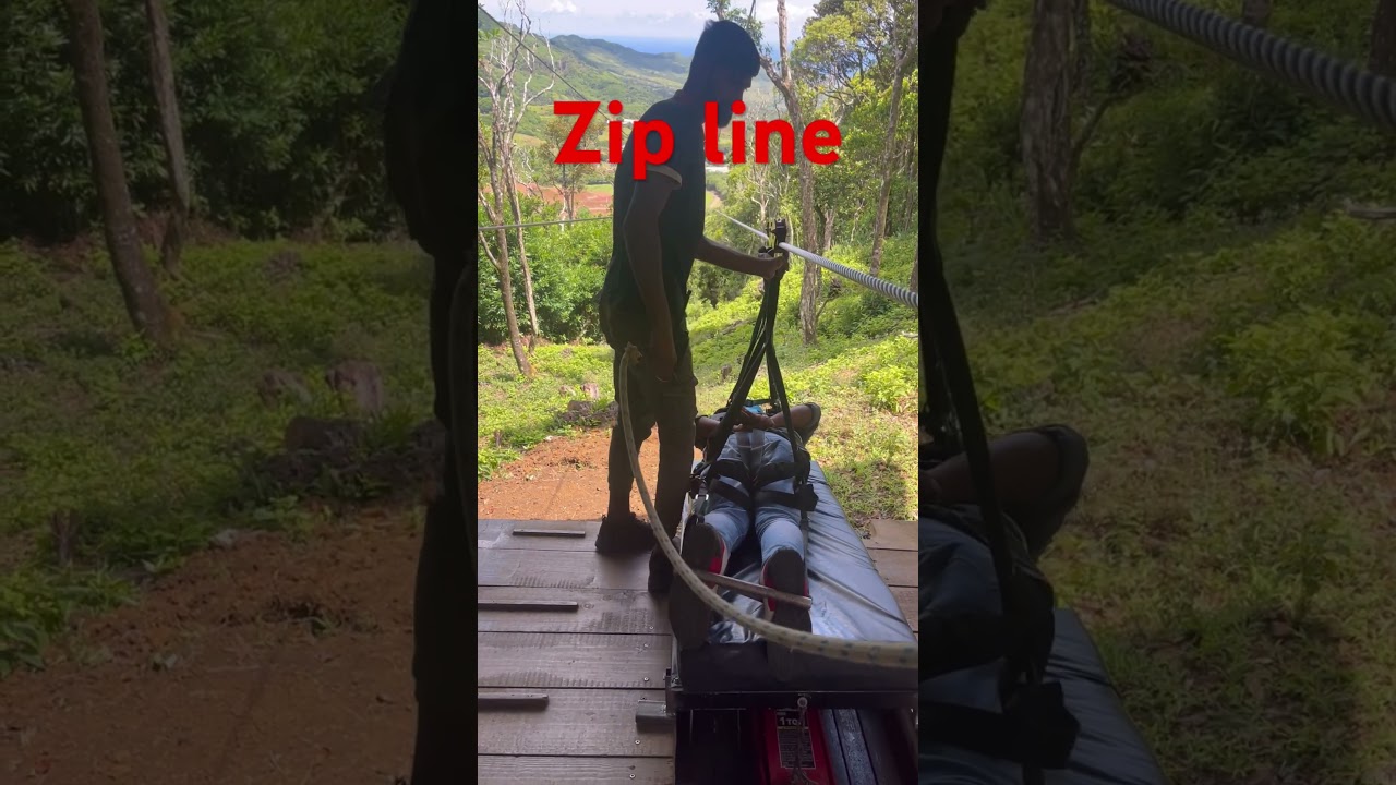 #zipline
