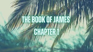 Book of James Chapter 1 | NLT version| Audio Bible | Bible study 📖
