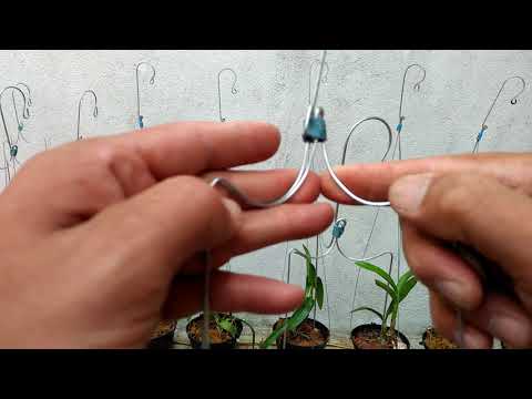 Video Bẻ móc đẹp cho chậu Lan - rất dễ - youtube