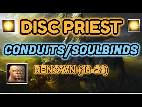 Discipline Priest Guide