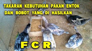 Takaran Kebutuhan Pakan Entok Dan Bobot Yg Di Hasilkan  Fcr