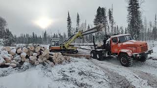 лесовоз краз и погрузчик лт-188, погрузка на делянке