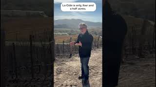 Thumbnail for Sashi Moorman Explains the Character of La Côte Pinot Noir