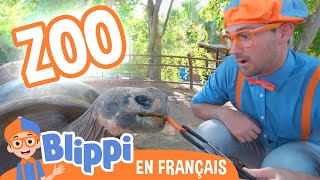 Blippi visite un zoo - Blippi en français | Vidéos éducatives pour les enfants