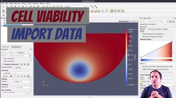 [ParaView Postprocessing 3] Importing data (cell viability project)