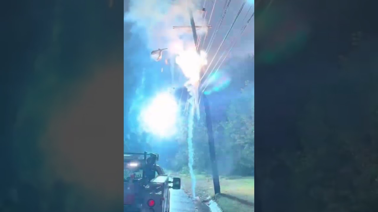 Tree Falls on High Voltage Wires and THIS Happens!