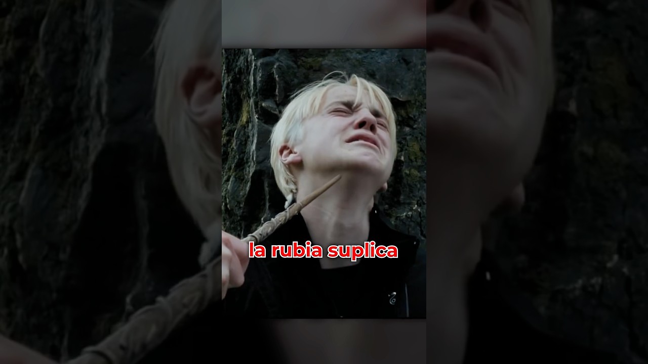 EL DETALLE DE HARRY POTTER QUE NO VISTE