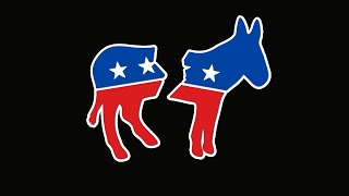 What Does the Democratic Party Stand For in 2020?