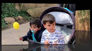 Hayvanat Bahçesi Gezintimiz, Inek Sağmayı Ögrendik Inek Videoları