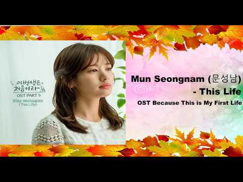 Mun Seongnam (문성남) - This life OST Because This is My First Life Lyrics