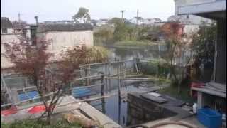 HD Suzhou - a day out with the big ones @SabineHartmann