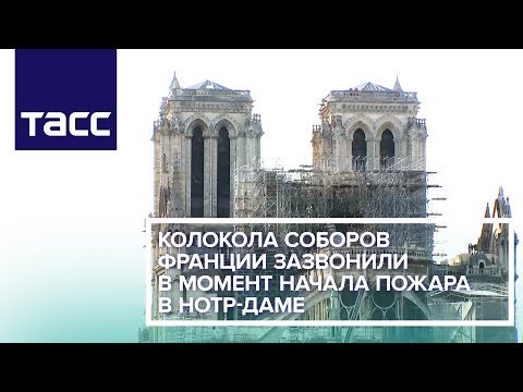 Video: Mistične Tajne Katedrale Notre Dame - Alternativni Prikaz