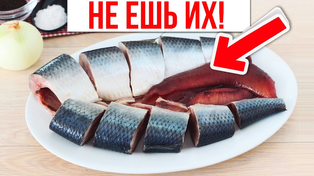 самая вредная рыба. пайяра рыба. рыбы амазонки пираньи. вредная рыба. виды ядовитых рыб.