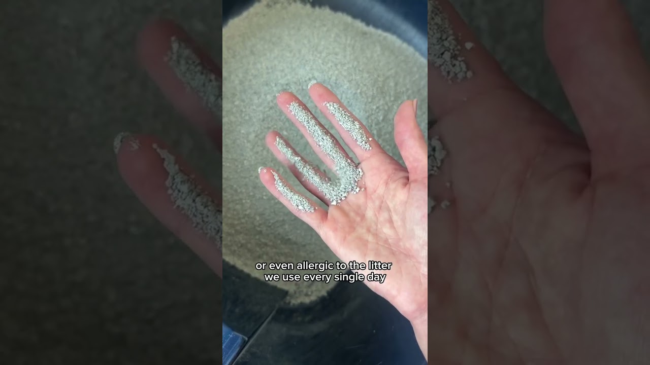 BoxiePro® Probiotic Deep Clean™ Cat Litter