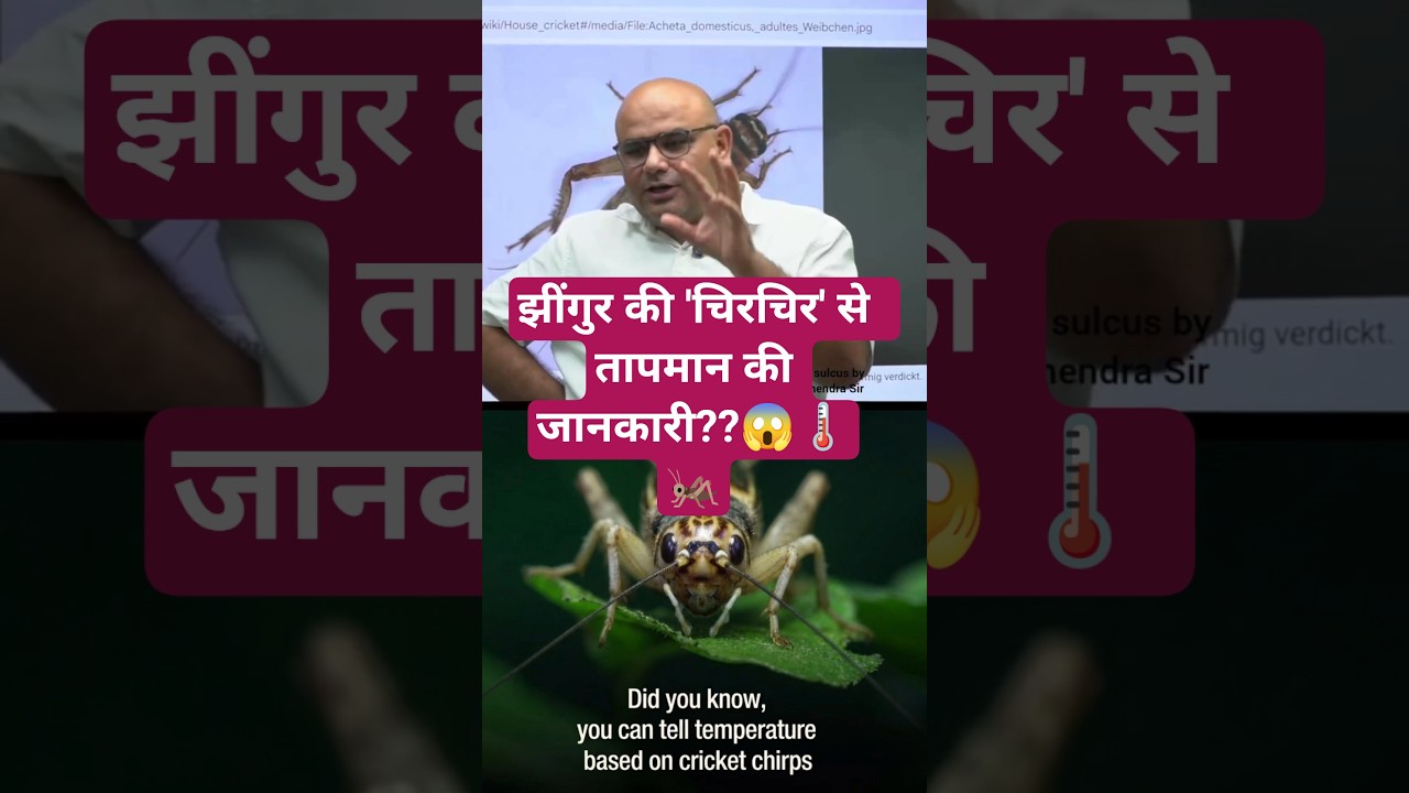 House Cricket (झींगुर) #dharmendrasir #gyrussulcus #biology #education #upsc