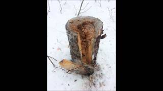 1LB Tannerite vs Tree Stump