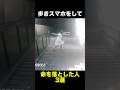 歩きスマホをして命を落とした人3選　#歩きスマホ #事故