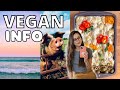MOTIVATION TO STAY VEGAN ☀️ Recipes, Facts, and Long Term Health 🌱