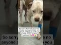 Ron final hour please save me don't scroll paste me🙏😭 #uk #canada #germany #united states#usa