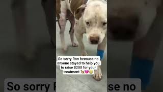 Ron  final hour please save me don't scroll paste me🙏😭 #uk #canada #germany #united states#usa