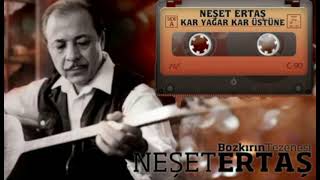 Neşet Ertaş - Kar yağıyor kar üstüne Resimi