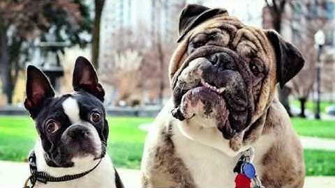 Designing APIs for Humans | Julia Elman | APIdays Paris 2019