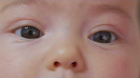 HOMEWORK ASSIGNMENT for today