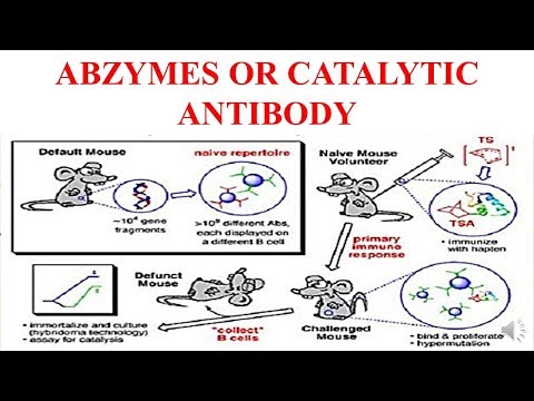 ABZYMES