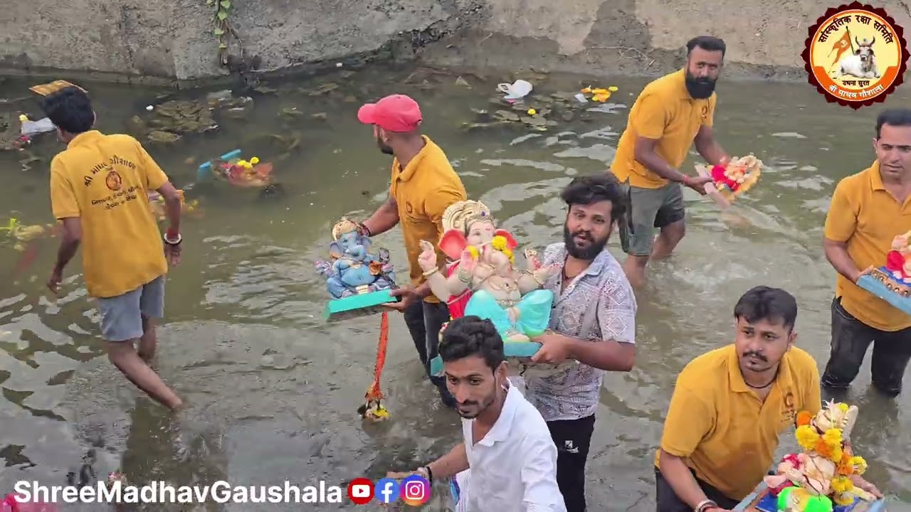 अर्ध-विसर्जीत गणेश प्रतिमाओ का पुन: विसर्जन || SRS-Shree Madhav Gaushala