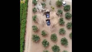 Manisa'da petrol heyecanı devam ediyor
