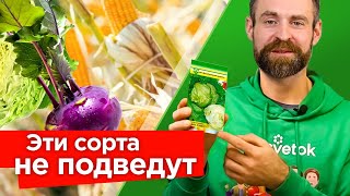 ЧТО Я БУДУ СЕЯТЬ В 2023 ГОДУ? Делюсь личным списком сортов овощей, которые никогда меня не подводили