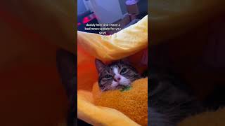 Ysera Had A Seizure On Friday And Since Doing Better.