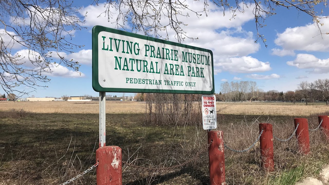 A look at the Living Prairie Museum YouTube