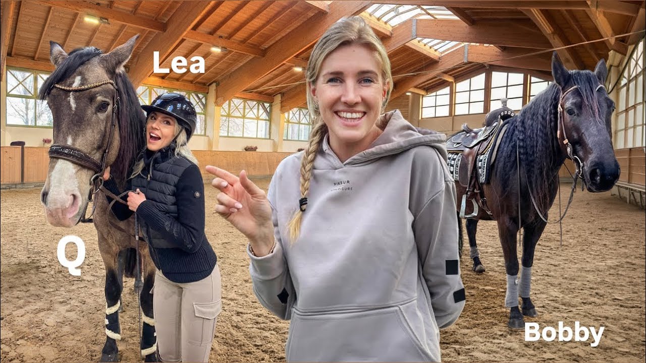 lustiges TRAINING mit unseren JUNGPFERDEN ( und plötzlich passiert ein STURZ😭😨)