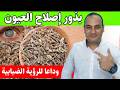 What Your Doctor Won T Tell You The Single Seed That Strengthens The Retina And Relieves Blurred 