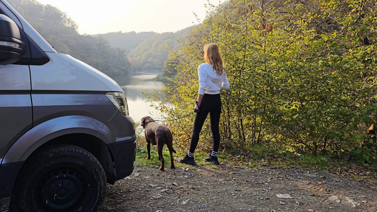 COZY FOREST CAMPING WITH OUR 4X4 CAMPER VAN