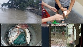 eshing echao marakta angang sing nga faba lampak ta/29 may 2024 manipur #flood
