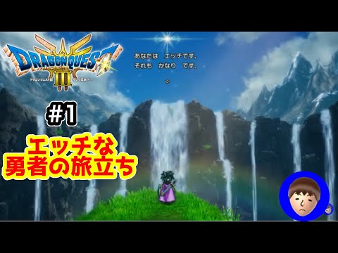 Switchライト　ドラクエ3、オクトラ maxresdefault.jpg