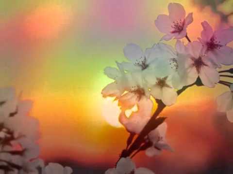 მოგიგზავნი ნიავს.wmv