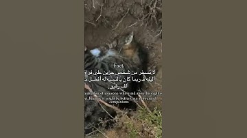 اتحداك ان تعرف أسم القارئ 🤔🤔