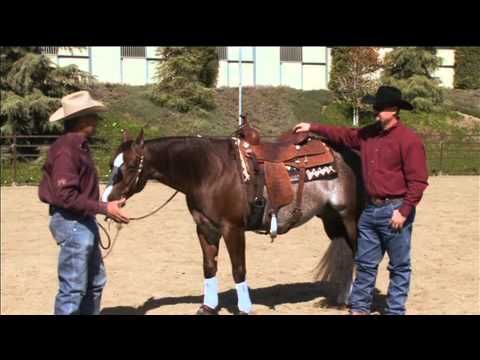 Bob Avila Saddle Pads