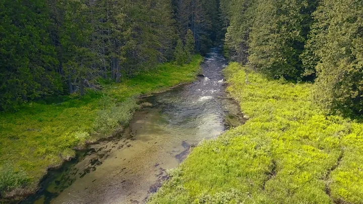 Kootenays - Grohman Creek Valley