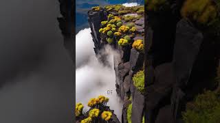 Mount Roraima: Unveiling the Mysteries of the Lost World #Shorts #Facts #FactsVault
