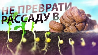 ПОЧЕМУ СЕМЕНА НЕ ВСХОДЯТ? БОРЬБА И ПРИЧИНЫ